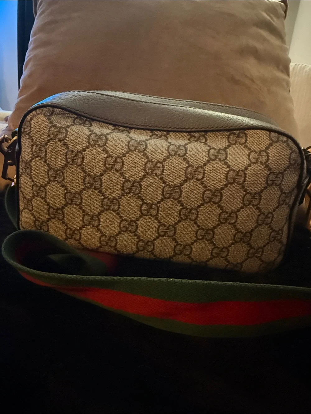 100 % Authentic Gucci GG Pattern Crossbody Camera Bag - Picture 5 of 5